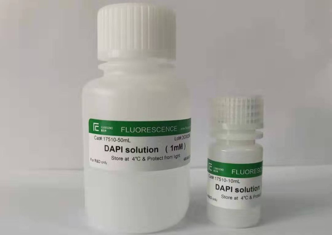 DAPI染色液  UltraPure 超純級(jí)